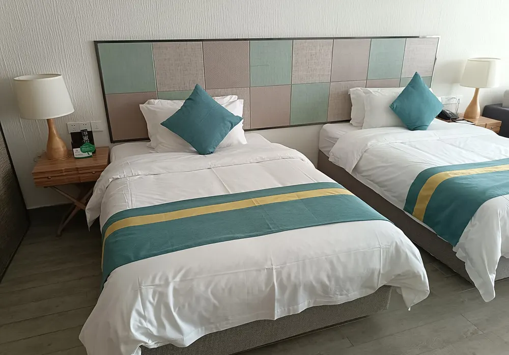 Aeropuerto de Sofía: dónde dormir, zonas y hoteles recomendados